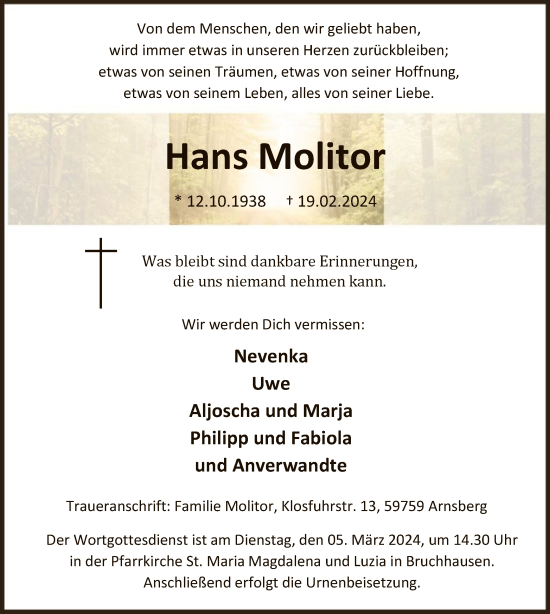 Traueranzeige von Hans Molitor von WA
