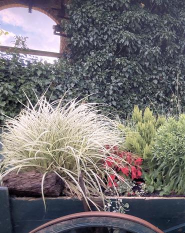 Profilbild Jutta Katzer